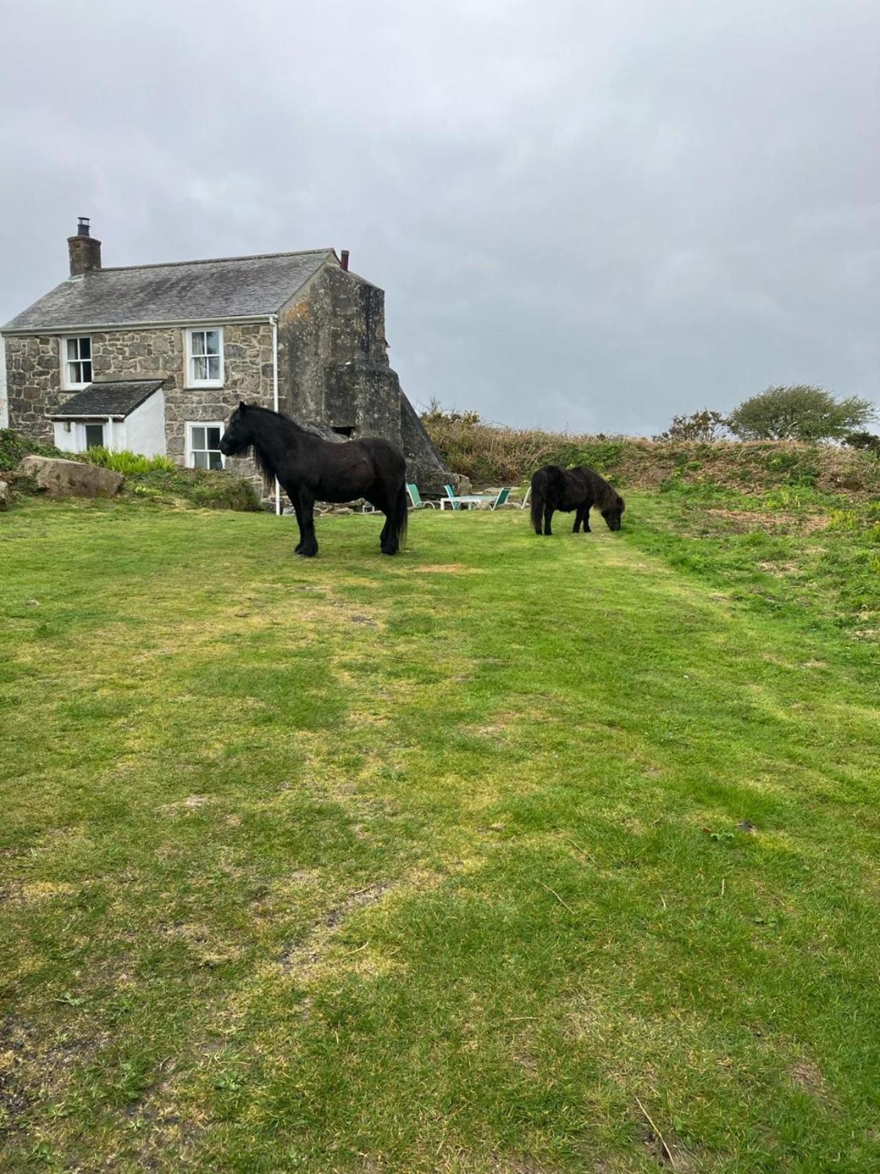 Kitts Cottage, Redruth, Cosy Cornish Retreat רדרות' מראה חיצוני תמונה