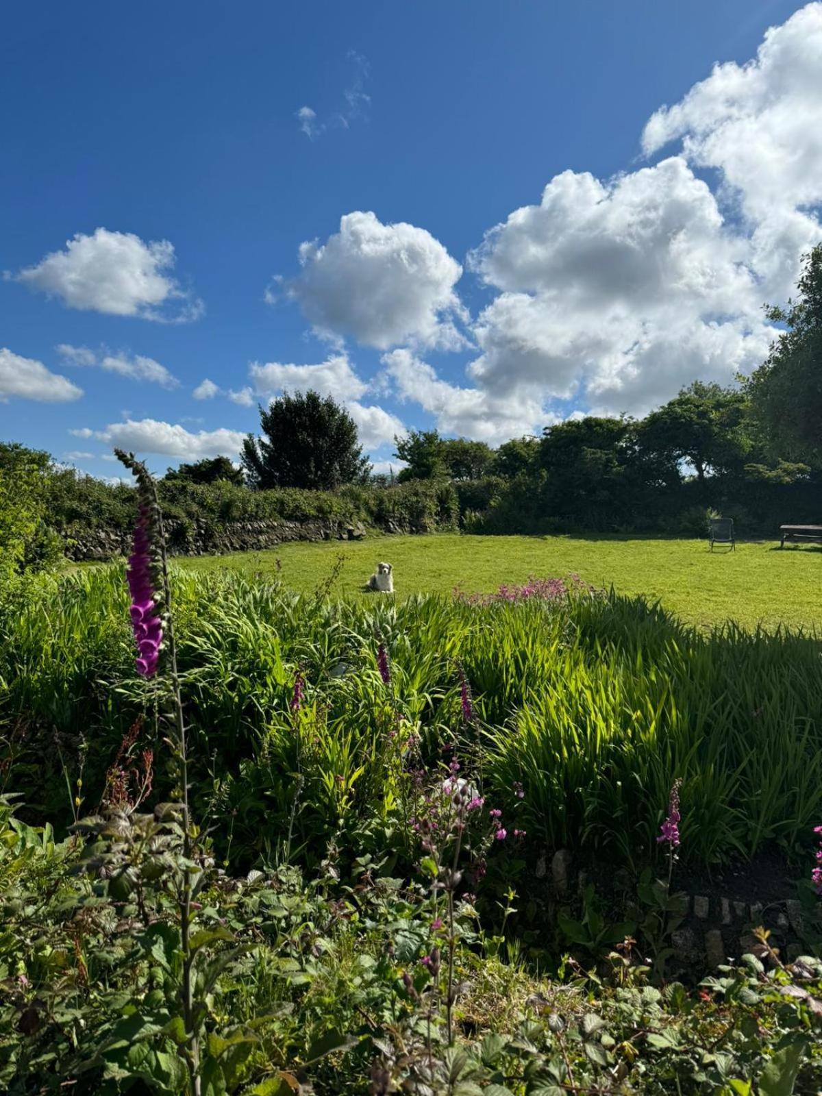 Kitts Cottage, Redruth, Cosy Cornish Retreat רדרות' מראה חיצוני תמונה
