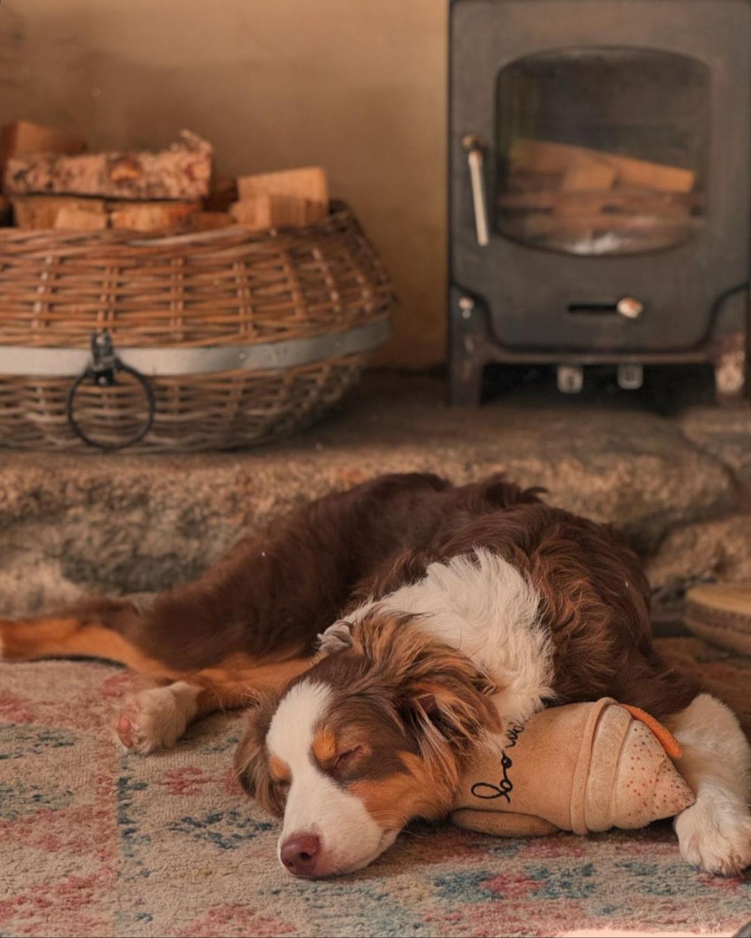 Kitts Cottage, Redruth, Cosy Cornish Retreat רדרות' מראה חיצוני תמונה